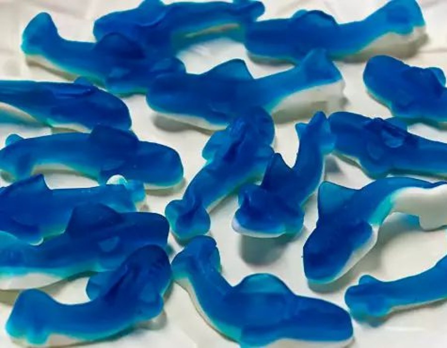 Lollies & Chocolate * | Park Lane Bulk Chocolate & Lollies Blue Gummy Sharks 2.5Kg