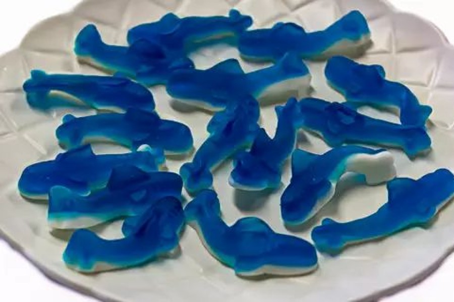 Lollies & Chocolate * | Park Lane Bulk Chocolate & Lollies Blue Gummy Sharks 2.5Kg